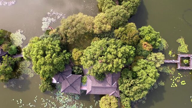 Top down drone view of lotus ponds and garden pathways at West Lake Hangzhou