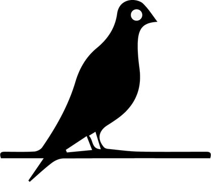 vector illustration of a bird