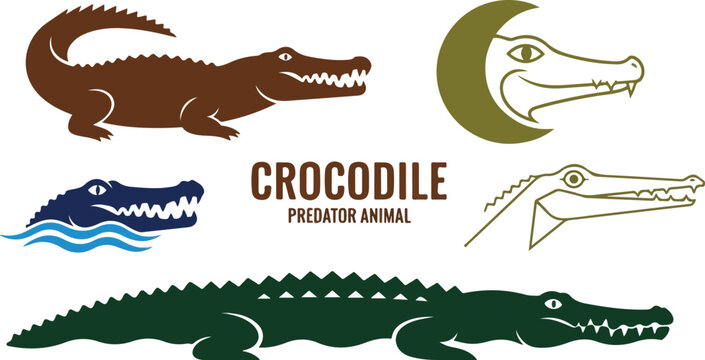 Crocodile Clipart Cute Cartoon Tyrannosaurus Rex Dinosaur Vector Illustration with Green Reptile Character for Kids Design and Wildlife Nature Icon