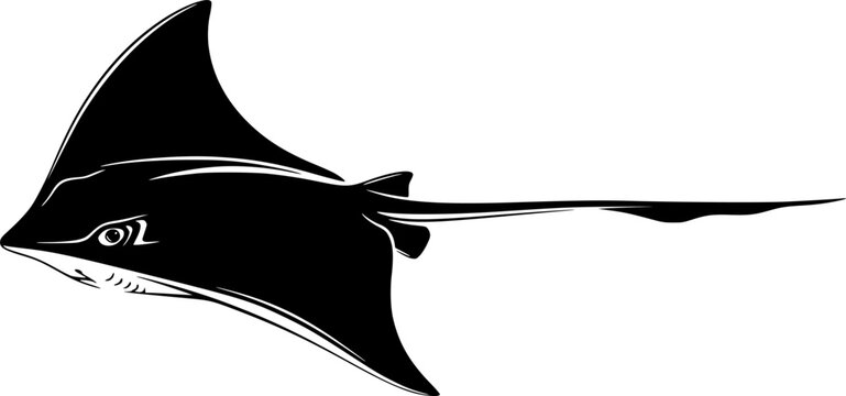 Sleek black stingray swimming gracefully with long tail, marine wildlife, ocean creature, underwater animal, sea life, flat vector design, sticker design, logo design, isolated on white background