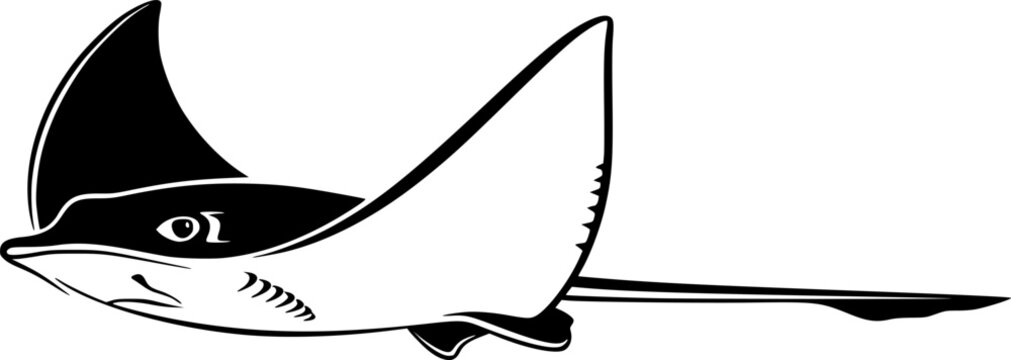 Sleek black stingray swimming gracefully with long tail, marine wildlife, ocean creature, underwater animal, sea life, flat vector design, sticker design, logo design, isolated on white background