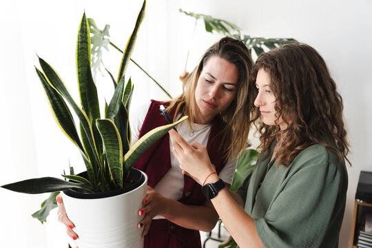 Two women examine a potted plant, one holding it while the other uses a phone to identify or research the plant.