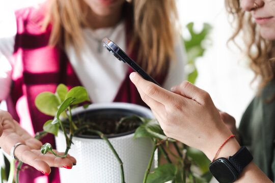 Two women are looking at a smartphone screen while tending to a potted plant.
