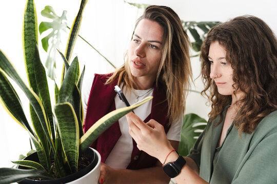 Two women examine a potted plant, one holding a pen and pointing to a leaf, the other looking intently.