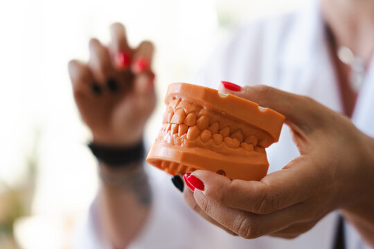 A person in a white coat holds an orange dental model, demonstrating tooth alignment and oral health.