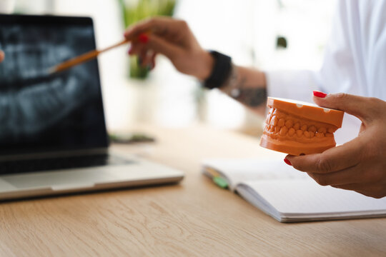 A dental professional uses a pencil to point at a dental x-ray on a laptop screen while holding a dental model.