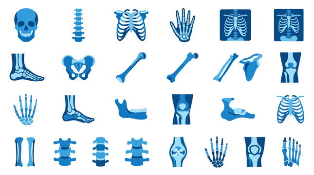 Vector Icons Set of medical human skeleton and bone xray icons. EPS Editable