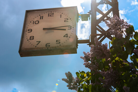Outdoor clock mounted on a metal pole surrounded by blooming lilac flowers under a bright blue sky with scattered clouds and sunlight shining through