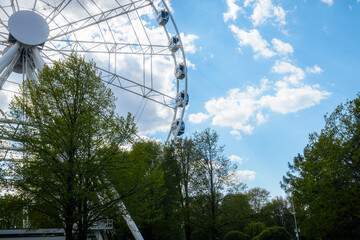 Fototapeta premium Large Ferris wheel with white cabins surrounded by lush green trees under a bright blue sky with scattered clouds in a public park setting