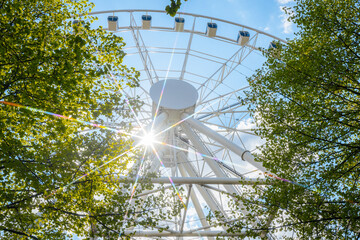 Ferris wheel viewed from below surrounded by green trees with sunlight shining through, creating a bright and vibrant atmosphere in an outdoor amusement park setting © Emvats
