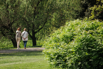 Fototapeta premium Two women walking along a path in a green park surrounded by trees and shrubs on a sunny day, enjoying nature and outdoor leisure activities