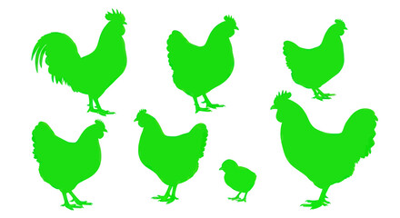 Green Chicken Silhouettes Collection: Rooster, Hens, and Chick on White Background © afgan