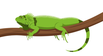 Fototapeta premium Vibrant Green Iguana Resting on Tree Branch, Reptile Wildlife Illustration