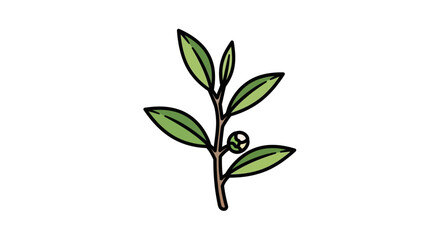 Fototapeta premium Small green plant with leaves sprouting.