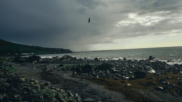 seagulls flying over the stormy seas