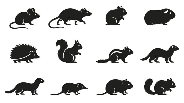 Flat silhouette vector icon set of 12 small animals  mouse side view  rat walking  hamster sitting  guinea pig side view  hedgehog side profile  squirrel standing  chipmunk side view  ferret walking  