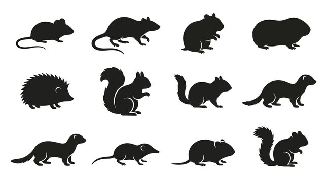 Flat silhouette vector icon set of 12 small animals  mouse side view  rat walking  hamster sitting  guinea pig side view  hedgehog side profile  squirrel standing  chipmunk side view  ferret walking  