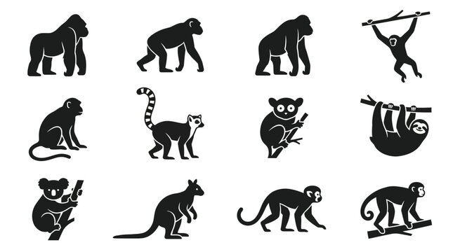 Flat silhouette vector icon set of 12 arboreal and primate animals  gorilla standing  chimpanzee walking  orangutan standing  gibbon swinging pose  monkey sitting  lemur standing  tarsier sitting  slo