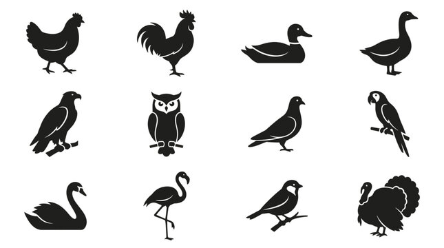 Flat silhouette vector icon set of 12 birds  chicken side view  rooster standing  duck side view  goose side profile  eagle wings folded  owl front view  pigeon standing  parrot side view  swan side v