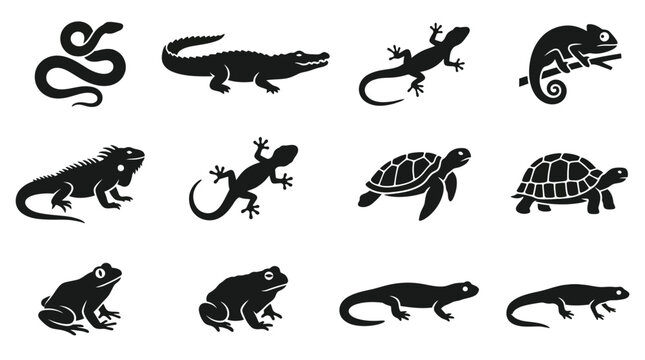Flat silhouette vector icon set of 12 reptiles and amphibians  snake coiled silhouette  crocodile side view  lizard side profile  chameleon side view  iguana side profile  gecko top view  turtle side 