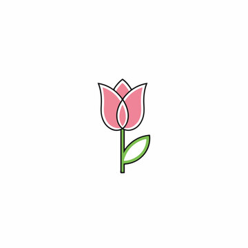 Pink Tulip Flower with Green Stem and Leaf