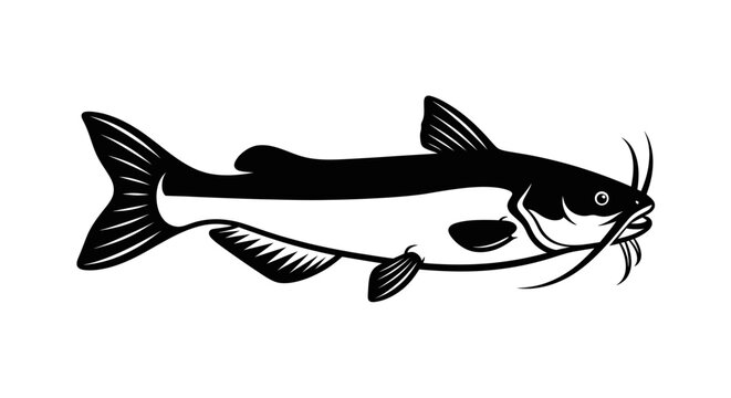 Black and white illustration of a catfish with whiskers