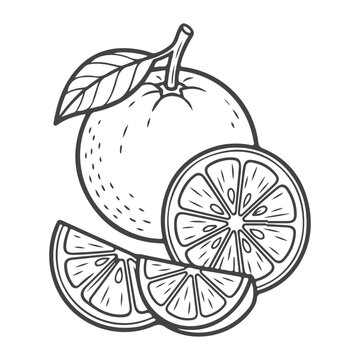Orange icon vector illustration