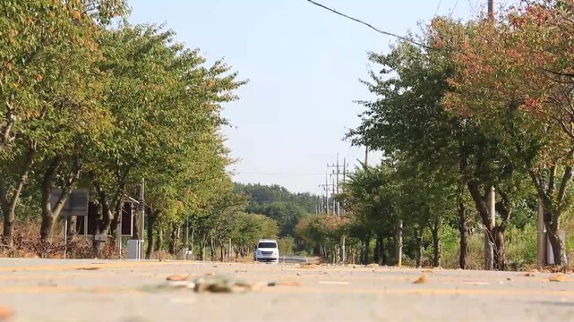 자동차 주행 승합차 가로수길 도로 교통수단 서울: 대한민국 서울 인근의 한적한 왕복 2차선 가로수길에서 흰색 승합차가 저 멀리서부터 카메라를 향해 천천히 다가오는 주행 모습입니다. 푸른 나무들과 아스팔트 도로의 풍경을 로우 앵글로 담아냈으며, 한적한 드라이브, 교외 여행, 차량 이동 및 평화로운 도로 교통을 상징하는 실외 영상입니다.