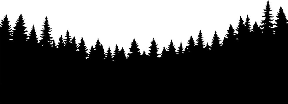 Pine tree forest silhouette, black trees landscape, nature scene vector, dark green forest border