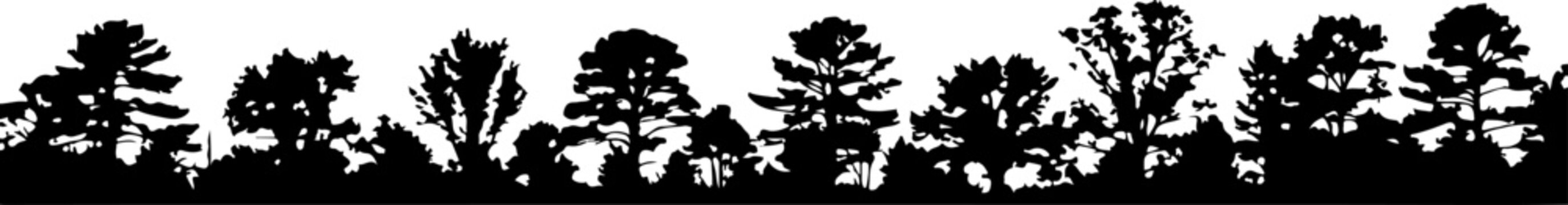 Black tree silhouettes, forest landscape border, vector trees, nature scene