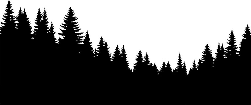 Pine tree forest silhouette, black trees border, evergreen landscape vector, nature scene