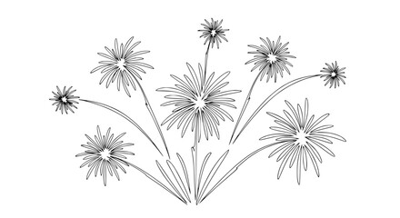 Obraz premium Black and White Firework Explosion Illustration