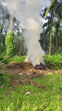 burning trash and smoke