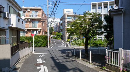 Fototapeta premium 住宅街の交差点