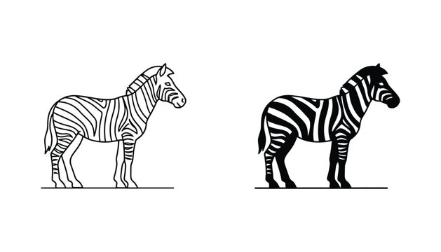 Full body standing zebra vector illustration in black and white