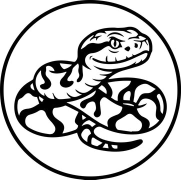 vector illustration of a snake