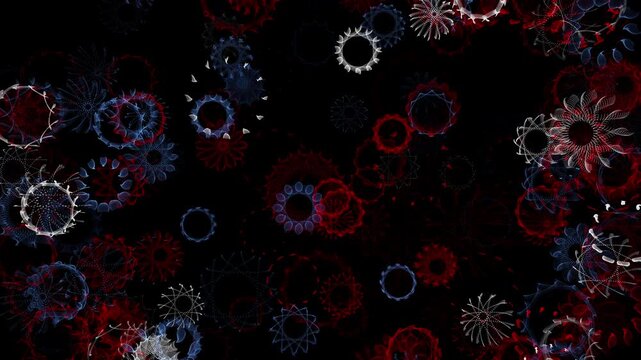 Floating Red, White, and Blue Spirograph Mandala Flowers With Intricate Geometric Petals on Black, Created in Adobe After Effects
