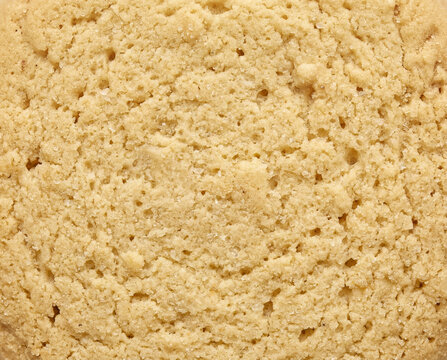 Detailed background view of the classic porous texturized surface of a golden butter cookie