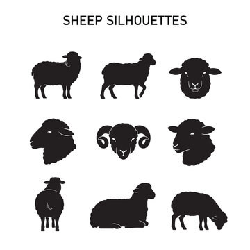 Sheep & Ram Silhouette Icon Set &ndash; 9 Black Woolly Sheep Poses and Head Views Collection (Farm Animal Livestock Icons, Grazing, Standing, Resting, Front Face, Side Profile)