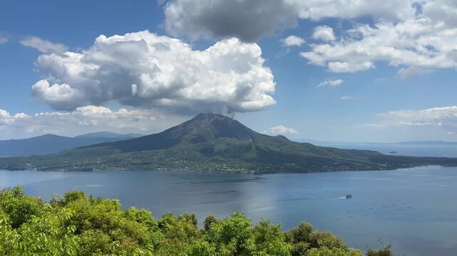 新緑の前景と錦江湾と桜島を望む夏の風景動画（鹿児島・4K）