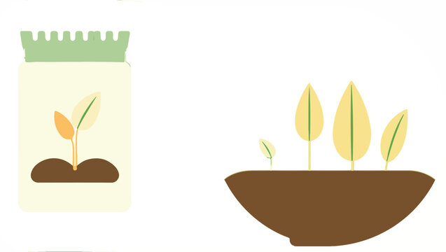 Seed Packet and Sprouting Plants Showing Growth Stages in Soil