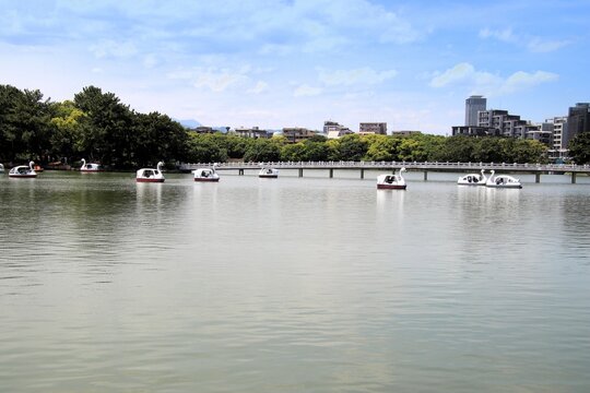 福岡市の大濠公園
