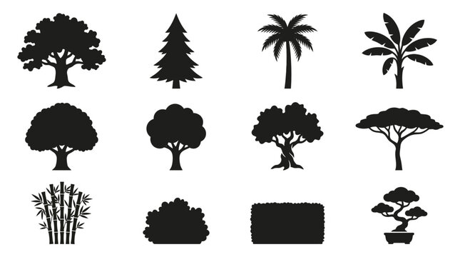 oak tree silhouette  pine tree conical shape  palm tree side view  banana tree with wide leaves  mango tree rounded crown  apple tree silhouette  olive tree twisted trunk  acacia tree flat top crown  