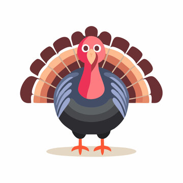 Cartoon Turkey Illustration