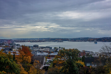 Obraz premium Autumn Rooftops Overlooking the Elliott Bay Horizon