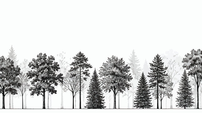Vintage hand drawn forest trees border, black and white engraved woodcut style woodland vector, coniferous and deciduous tree silhouettes on white background