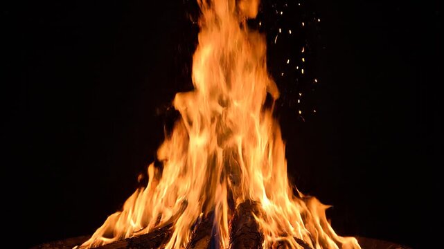 Raging flames engulf charred logs against solid black background with flying embers