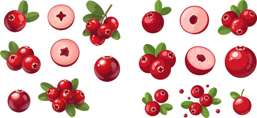 Set of fresh cranberries with green leaves, whole and sliced, on a white background. © Akun