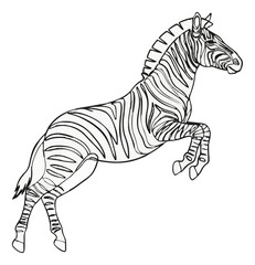 Naklejka premium Plains zebra jumping minimalist line art icon. Generative AI