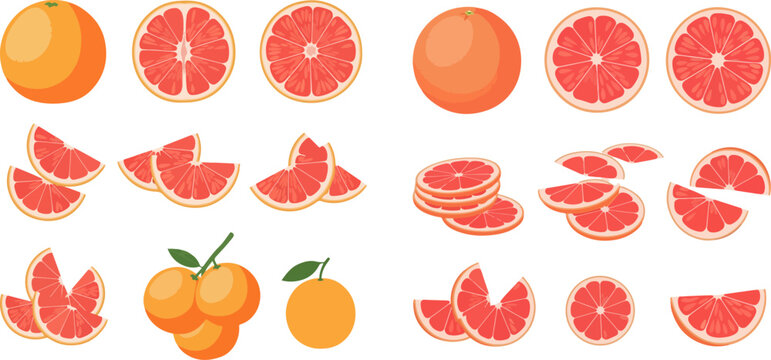 Set of fresh grapefruit whole, half, and slices, healthy citrus fruit vector illustration.